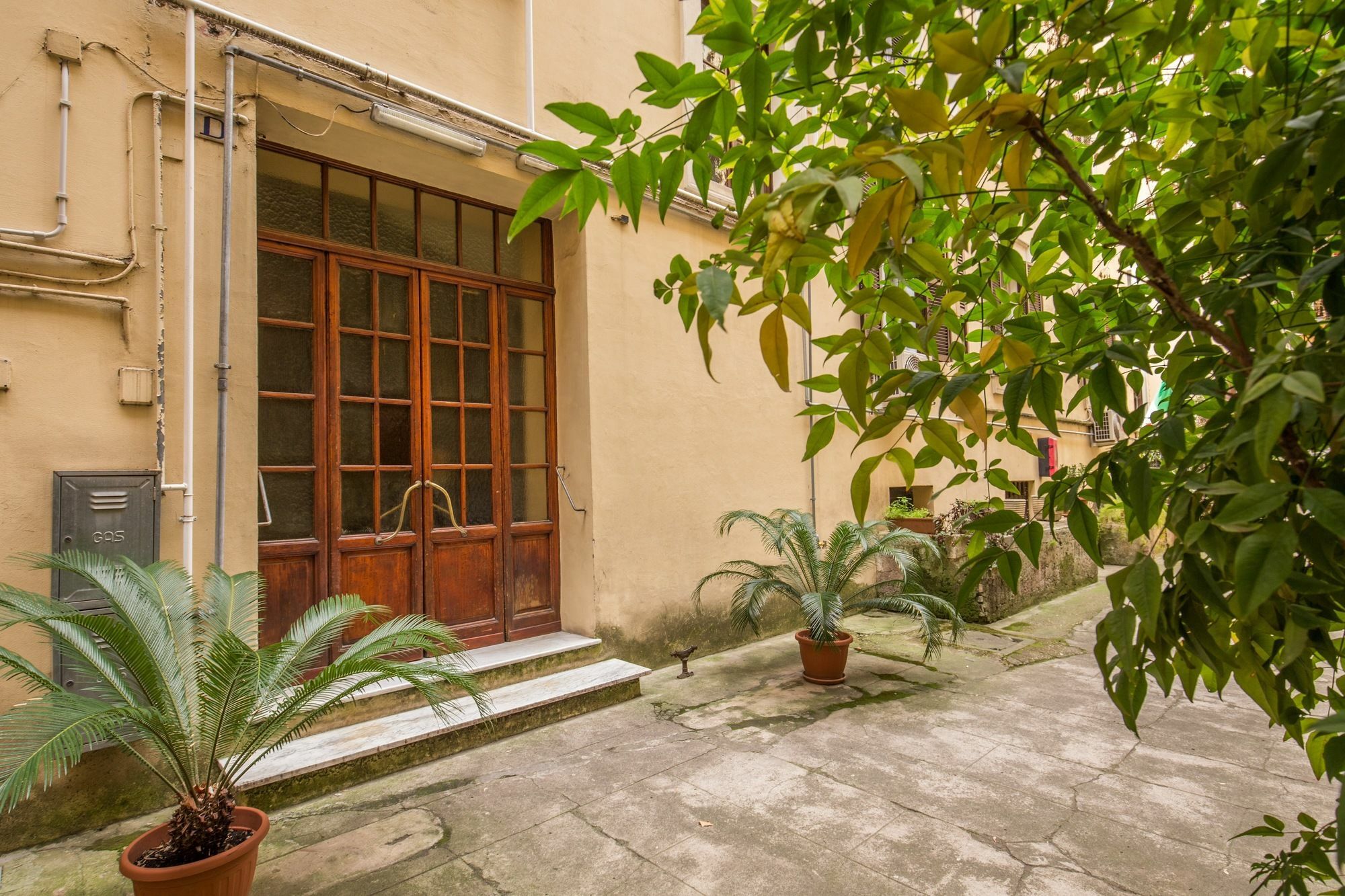 Vatican Miracle Suite Rzym Zewnętrze zdjęcie